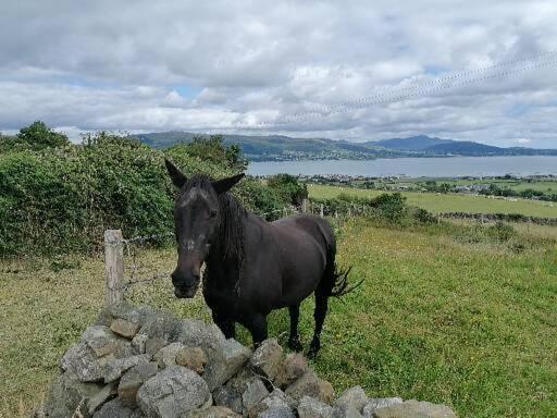 Carlingford Mountain And Sea Views Apartamento Exterior foto