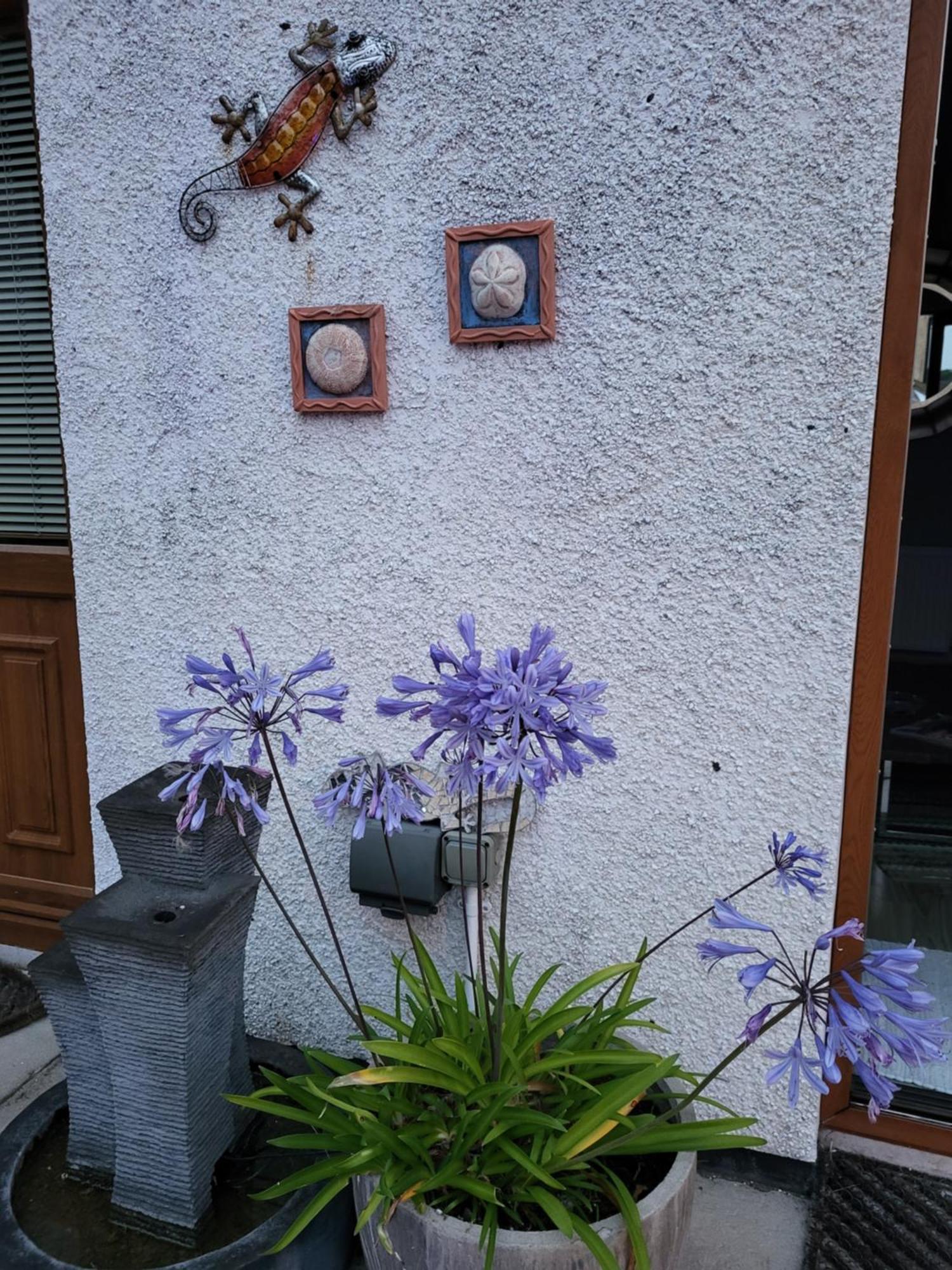 Carlingford Mountain And Sea Views Apartamento Exterior foto